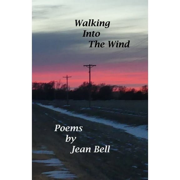 Walking into the Wind (Paperback)