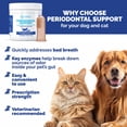 thumbnail image 2 of Nature's Pure Edge Periodontal Powder Support Cat & Dog Tooth Enzyme Oral Care, 150g, 2 of 8