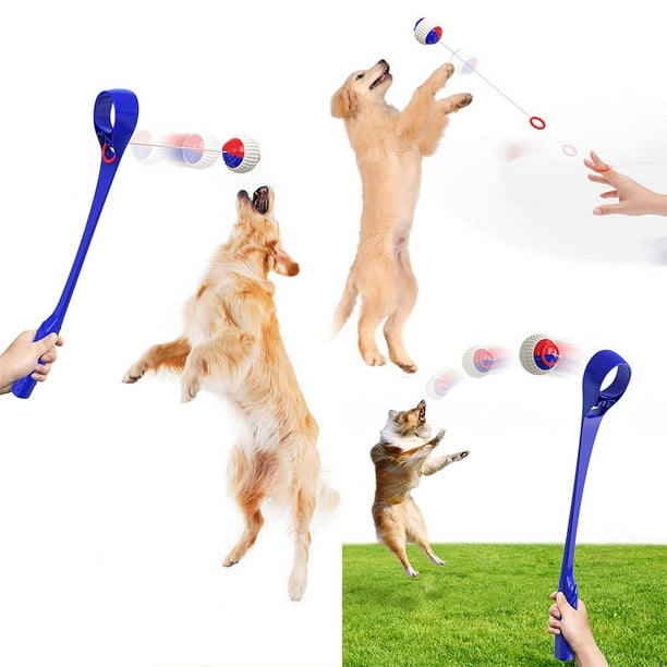 Dog sale ball stick