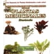 thumbnail image 1 of LAS PLANTAS MEDICINALES CON ESQUEMAS DE PLANTAS BERBERA EDITORES ADRIAN VANDER, 1 of 1