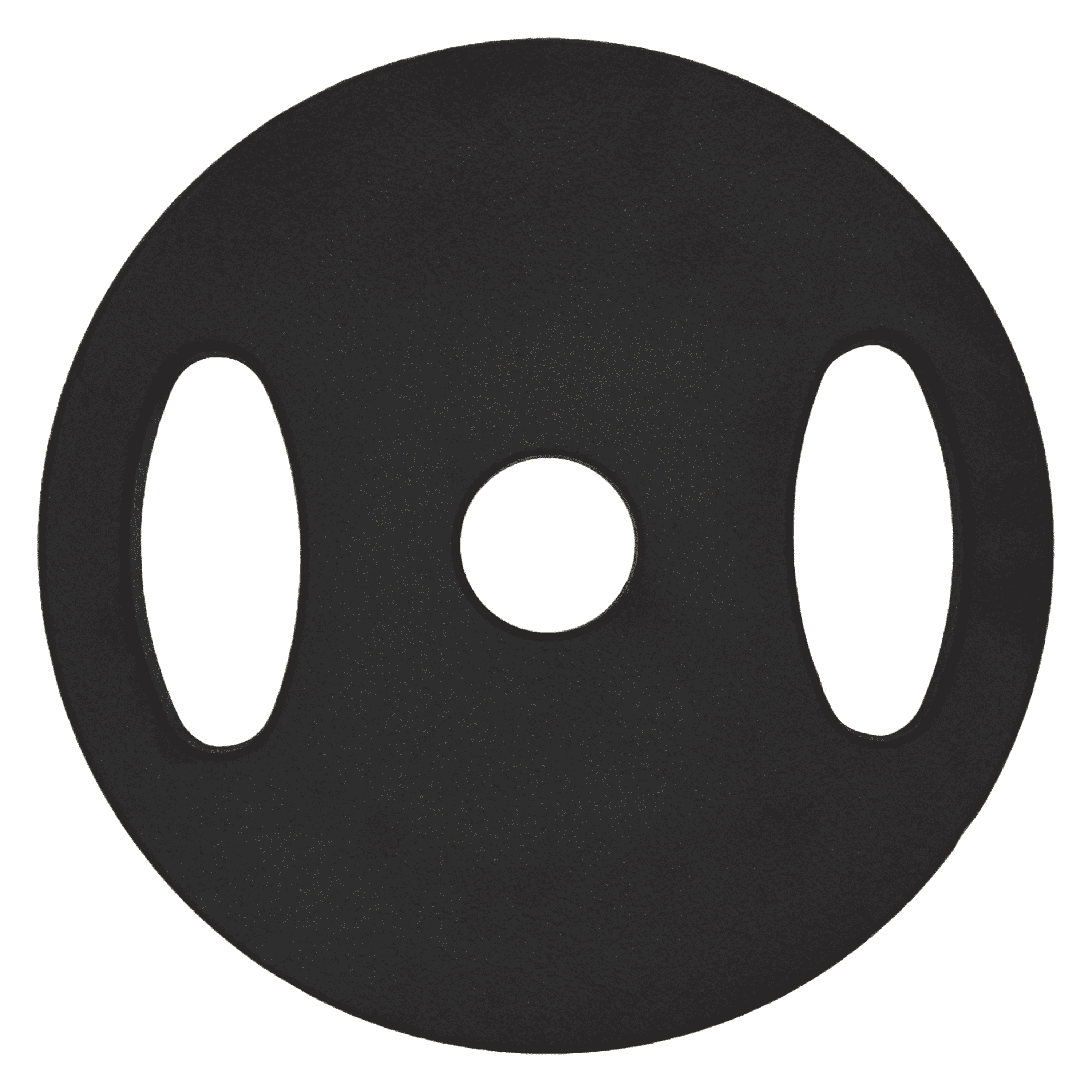 Reebok 25lb Olympic Cast Iron Precision Weight Plate with 2-Grip Handles for Strength Training