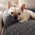 thumbnail image 5 of Large Checkered Pet Furniture Cover For Dogs And Cats, Rectangular Sofa Protector Pad And Couch Topper, Extended Lounger Cushion For Napping And Relaxing, 1Pack Dark Gray, 5 of 6