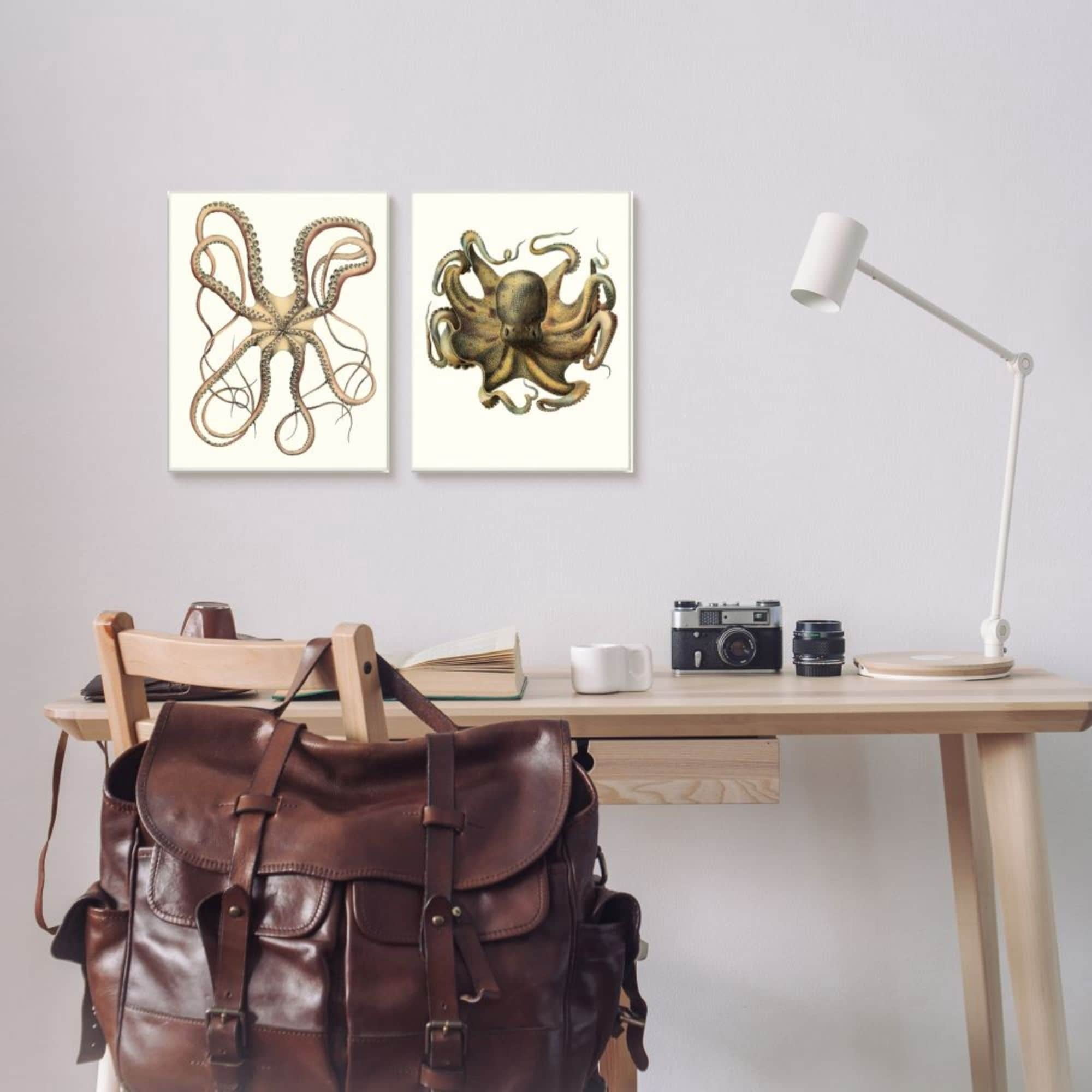 Stupell Industries Vintage Octopus Illustration Curved Tentacles Design by Unknown Artist
