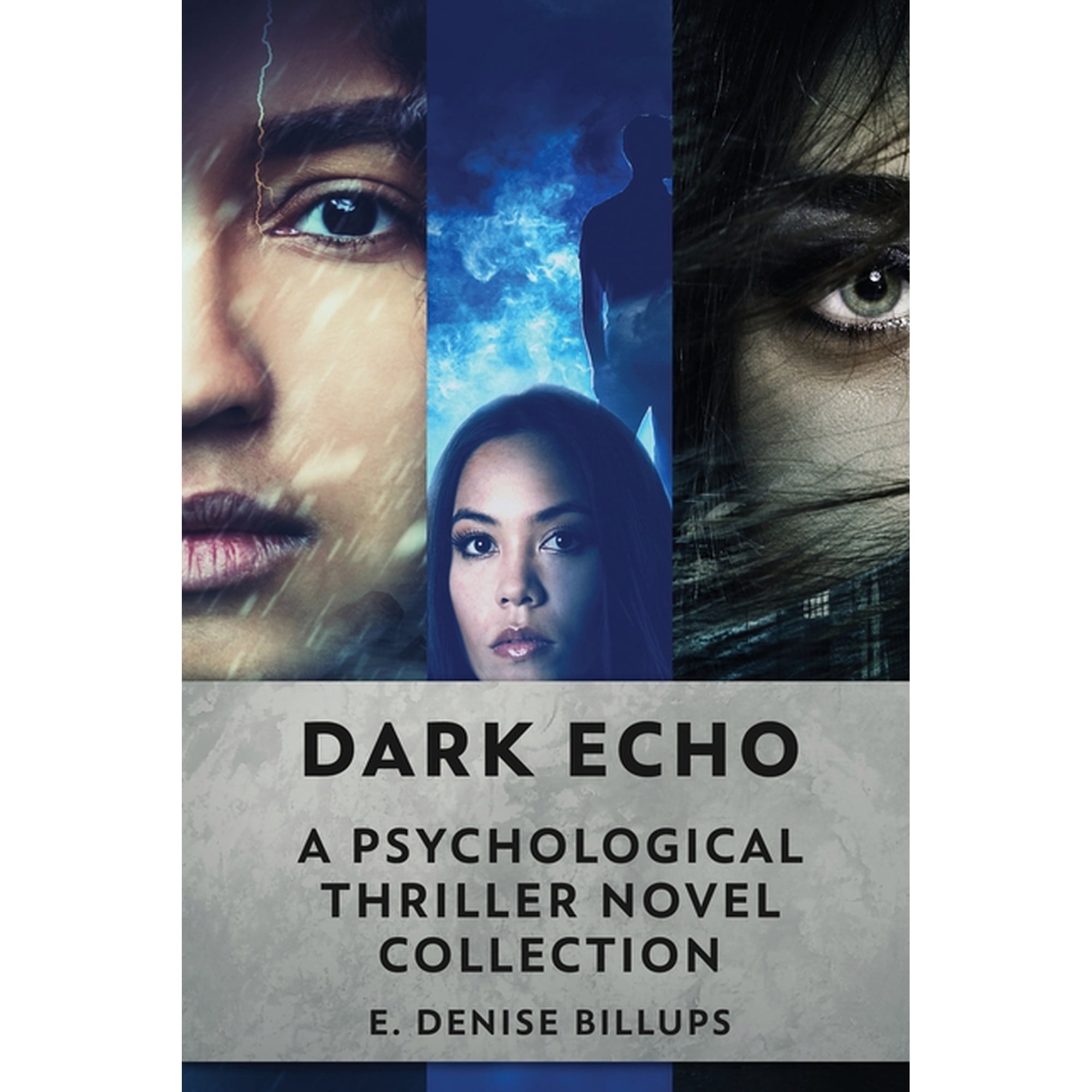 Dark Echo: A Psychological Thriller Novel Collection (Paperback)