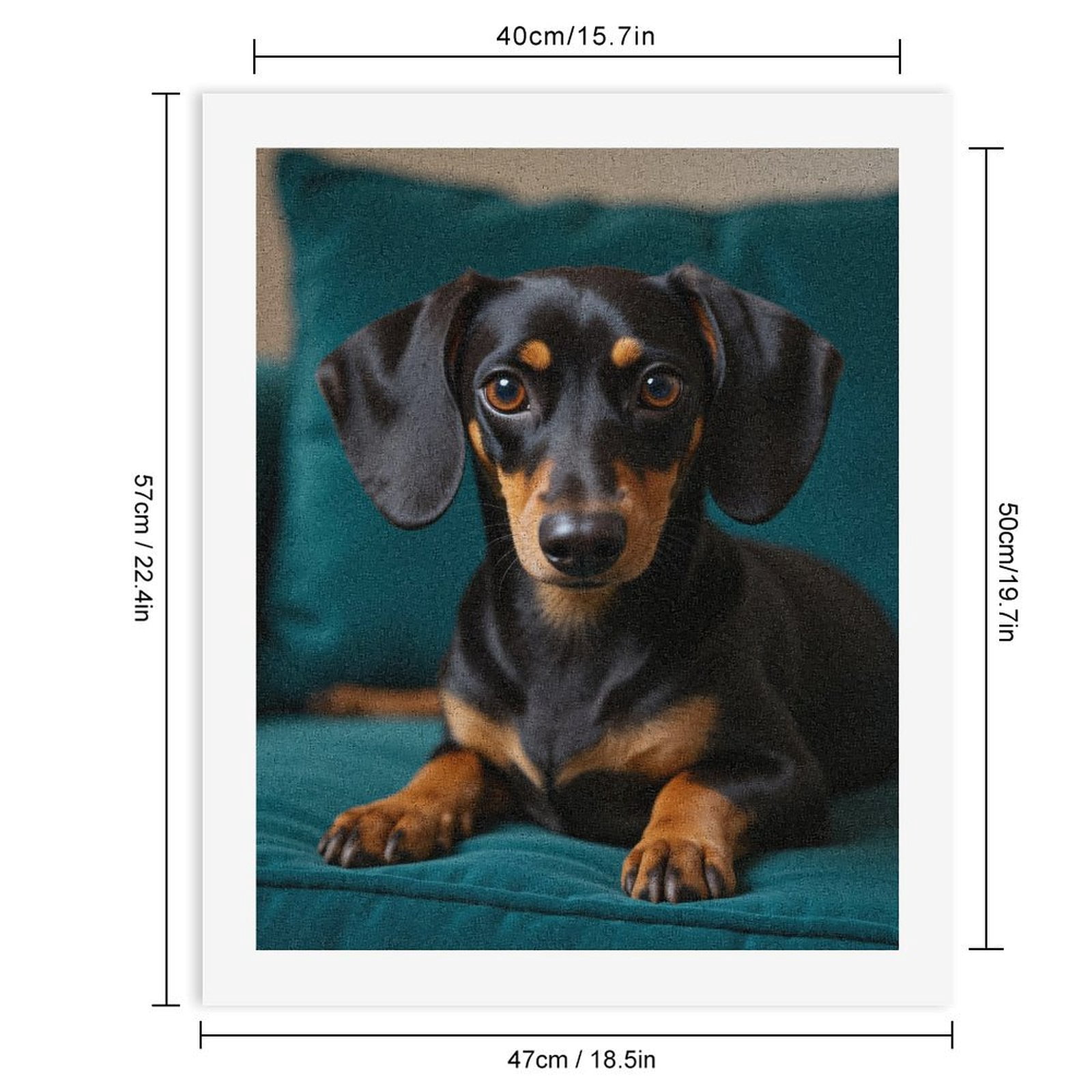 Paint By Numbers Kit for Adults Beginner - DIY Black Tan Dachshund On Teal Sofa Canvas Painting Kits for Adults, Frameless Paint By Number for Adults for Home Wall Decor 16x20 Inch