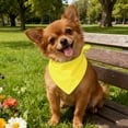 thumbnail image 5 of PremiumPetTowelScarf for Cats and Dogs Towel Design with Versatile Triangular Bib Style for Indoor Outdoor Use, 5 of 5