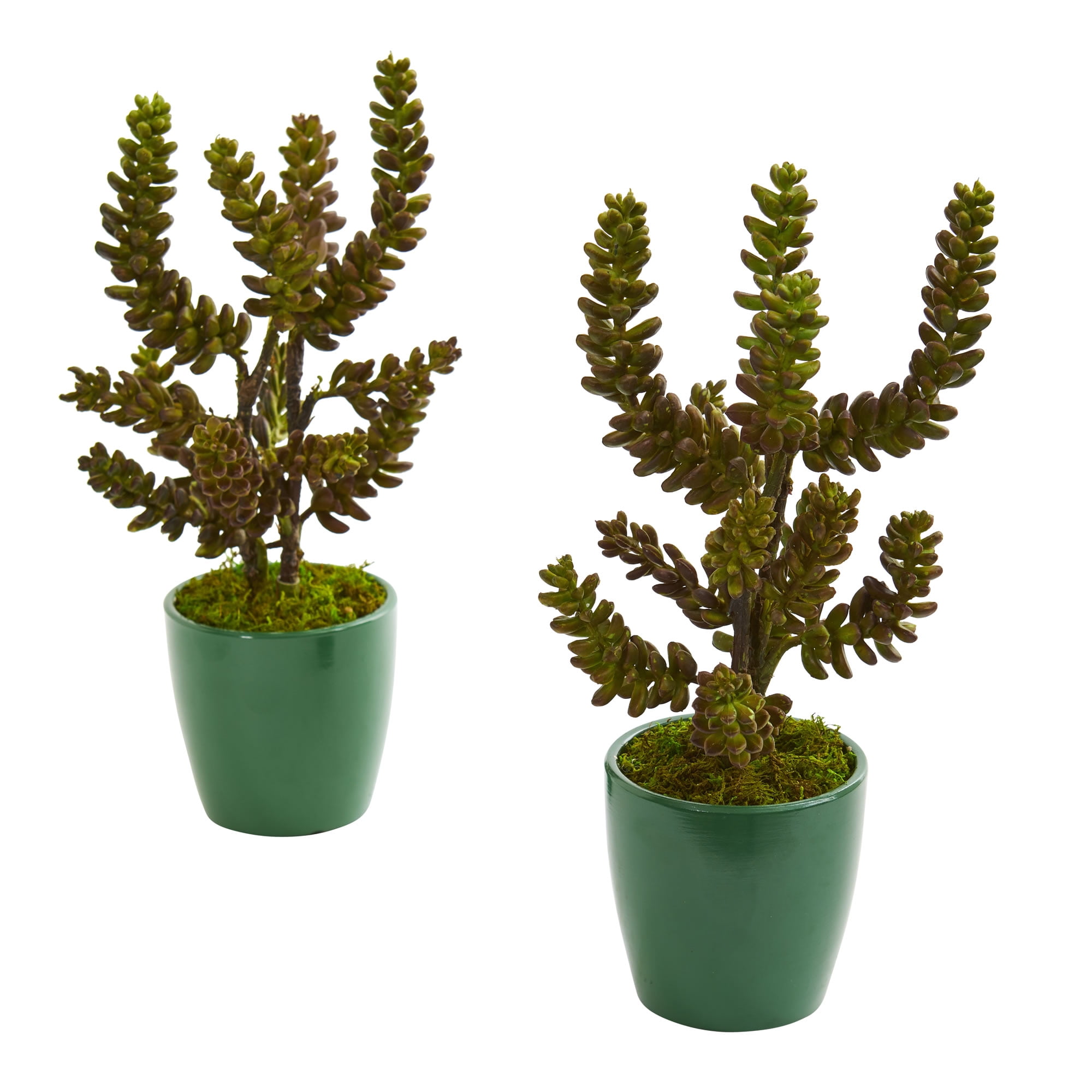 Nearly Natural Succulent Artificial Plant in Green Pot (Set of 2)