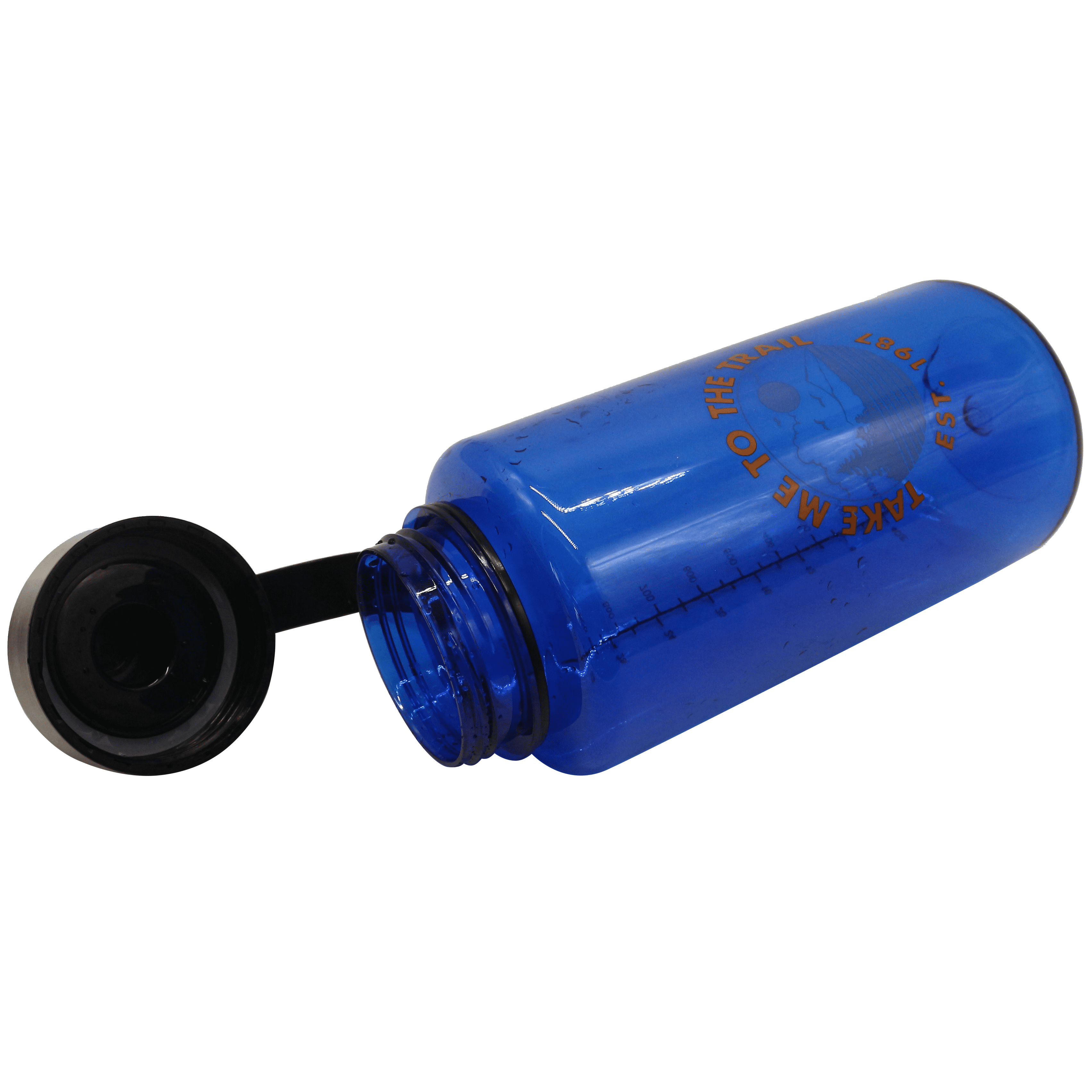 Ozark Trail 32 fl oz Blue Insulated Stainless Steel Wide Mouth Water  Bottle, Loop Handle, Flip Lid