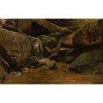 thumbnail image 2 of Curt Agthe 14x11 Black Ornate Wood Framed Double Matted Museum Art Print Titled: Waterfall (1897), 2 of 5