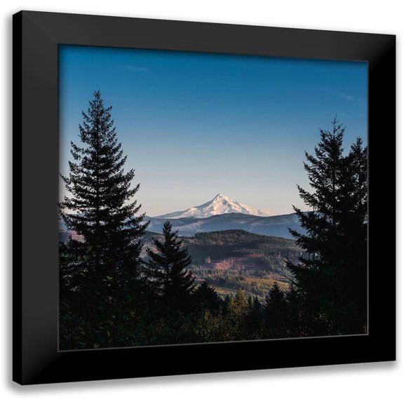 Nature Magick 12x12 Black Modern Framed Museum Art Print Titled - Mountain Through the Forest