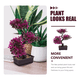 thumbnail image 3 of Plantas Artificiales De Bonsái Del Hogar Y La Oficina Xtellar morado, 3 of 3