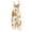 #01Green, variant on Women Cottage Witch Pumpkin Vine Maple Leaf Print Halloween Suspender Overalls Linen Blend Loose Jumpsuits Red M