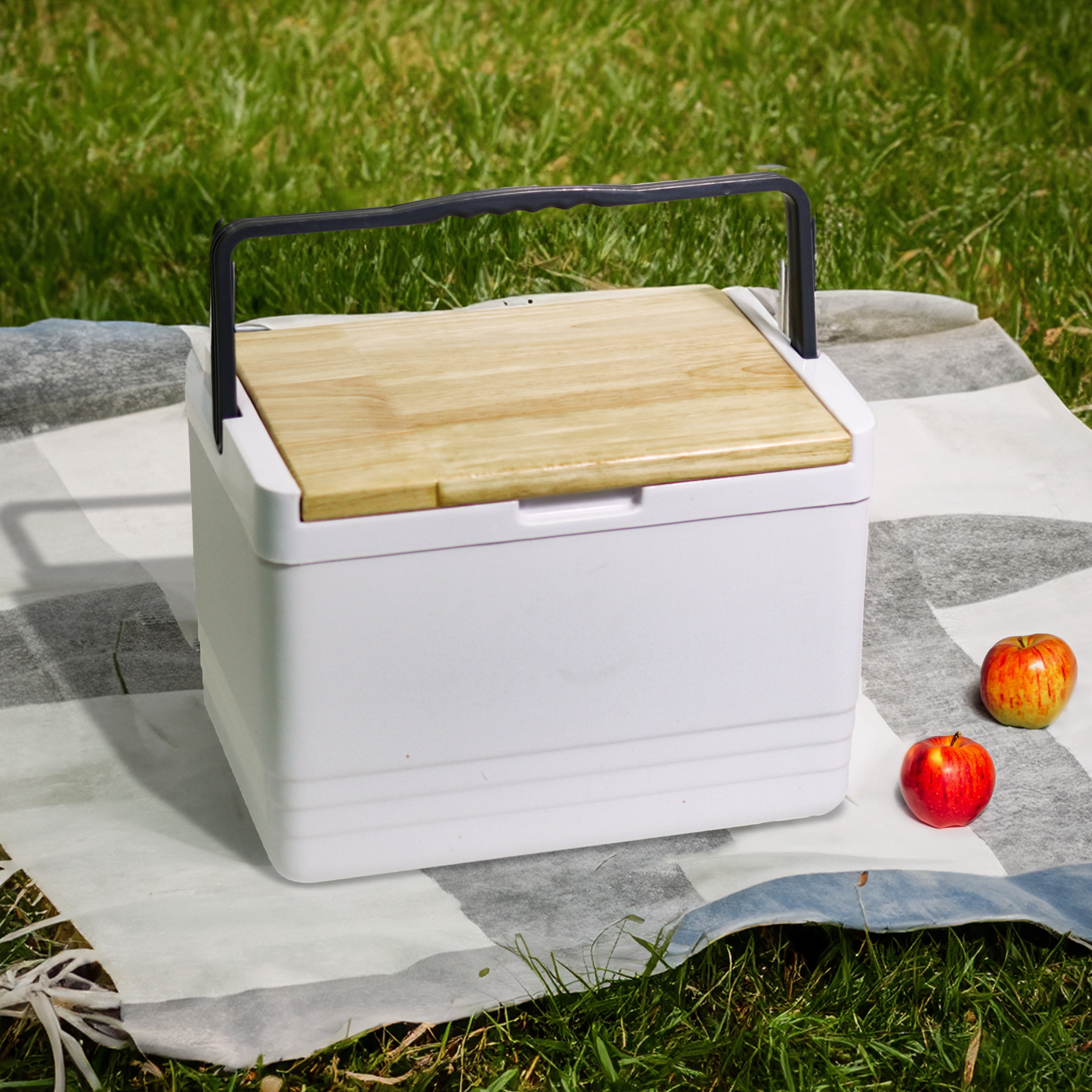 12 Qt. Cooler with Handle and Foldable Cutting Board Top