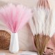 thumbnail image 2 of 5 Sticks Dried Pampas Grass Artificial Pompous Grass Branches Vase Filler For Home Living Room Kitchen Wedding Bohemian Dcor, 2 of 5