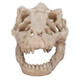 thumbnail image 2 of Adorno de calavera para acuario, decoración de pecera de acuario, adorno de calavera de simulación de acuario, adorno de calavera para pecera, valor inmejorable Jadeshay A, 2 of 8
