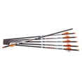 thumbnail image 3 of Ravin Crossbows Ravin Bolts 400Gr. 6 Pk .003, 3 of 5