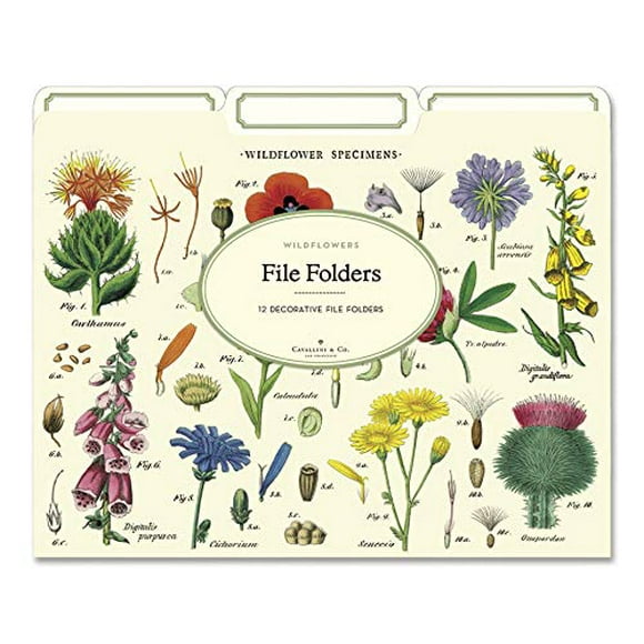 Dossiers Wildflowers