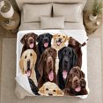 thumbnail image 5 of Friendly Labrador Retrievers Portrait Pet Adoption, Cozy Pet Portrait Pattern, Warm Flannel Blanket for Living Room and Reading Nook, Dog Lovers Friendship Gift, Pet Lover Home Decor, 5 of 9