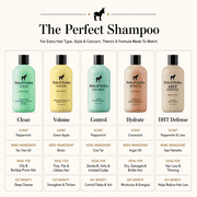 Pete & Pedro BOLD - Bourbon Scented Rich Daily Shampoo For Men, 8.5 oz.