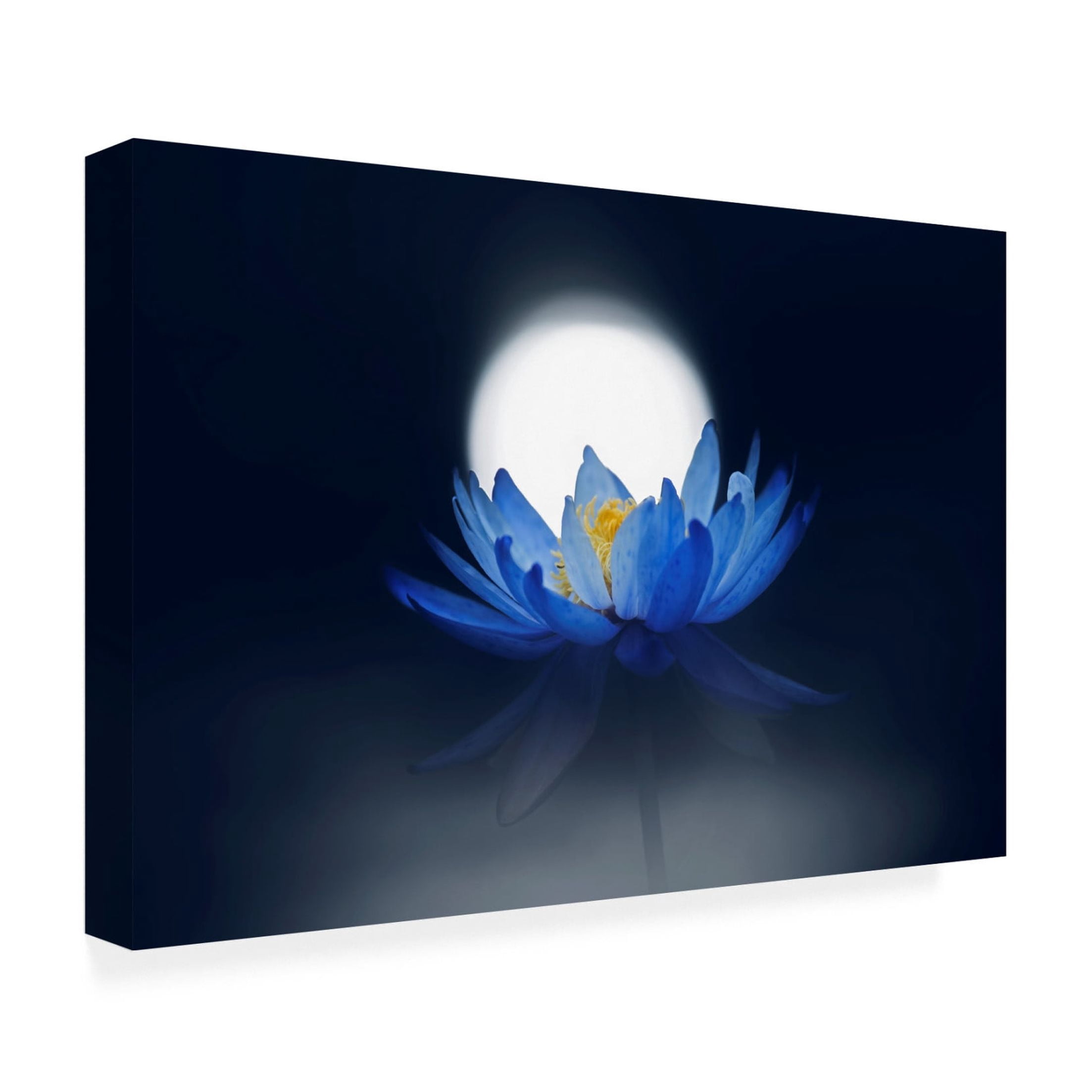 Canvas Wall Art - Takashi Suzuki 'Fleeting Dream' Wall Art for Living Room, Bedroom, or Office Décor by Trademark Fine Art - 47 x 30 Inches
