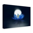 thumbnail image 4 of Canvas Wall Art - Takashi Suzuki 'Fleeting Dream' Wall Art for Living Room, Bedroom, or Office Décor by Trademark Fine Art - 47 x 30 Inches, 4 of 4