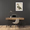 thumbnail image 3 of Fab Funky 12x14 White Modern Wood Framed Museum Art Print Titled - Bound Swan on cream, 3 of 4