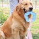 thumbnail image 5 of Puppy Chew Toys for Small Dogs Pets Play Chase Chew, 5 of 5