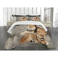 thumbnail image 4 of Ambesonne Zoo Quilted Bedspread Set 3 Pcs, Lions Basking in Sun Jungle, Queen Size, Pale Brown Grey Yellow, 4 of 4