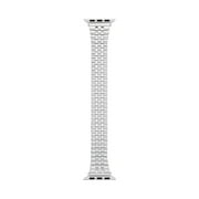 Interchangeable Silver Expansion Adult Watch Band (FMDBA041) 38/40mm