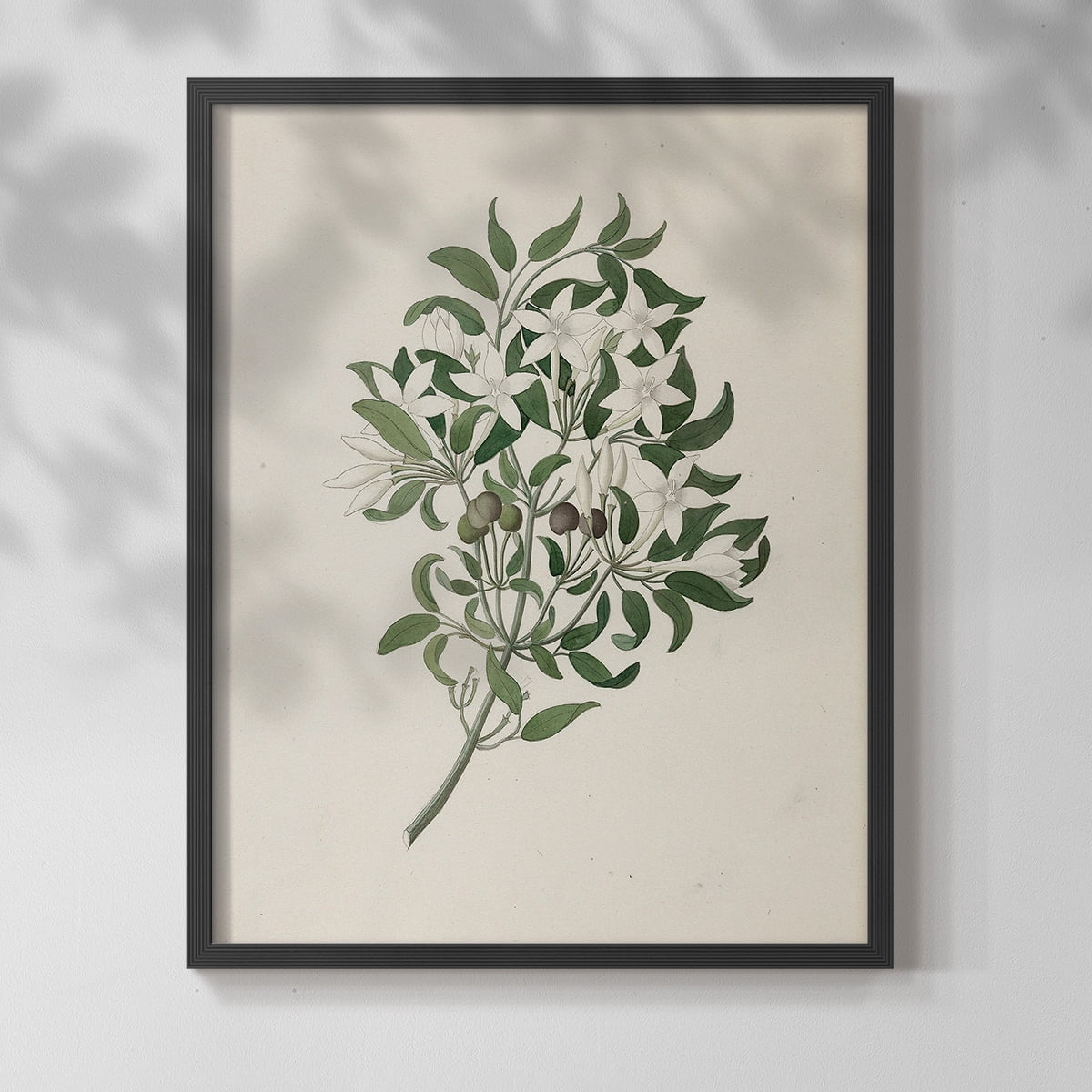 Vintage Floral Print CXLII - 14in. x 11in. Vintage Framed Print in Black Wood Frame
