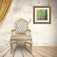 thumbnail image 3 of Christina 26x26 Gold Ornate Wood Framed with Double Matting Museum Art Print Titled - Spring Play I, 3 of 4