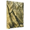 Exo Terra Background, 18-Inch by 24-Inch