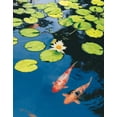 thumbnail image 2 of Maureen Love 35x44 Gallery Wrapped Canvas Wall Art Titled - Koi Pond II, 2 of 4