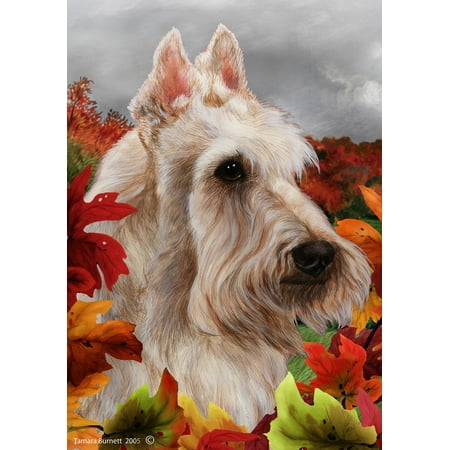 Scottish Terrier Cream - Best of Breed Fall Leaves Garden