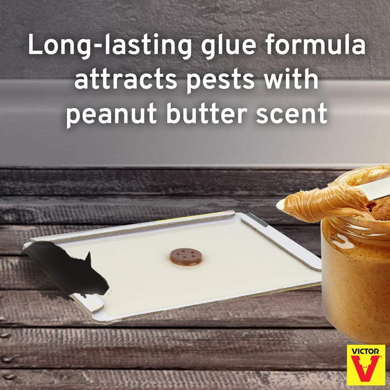 Peanut Butter Scented Glue Board Traps