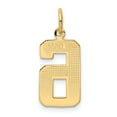 thumbnail image 4 of 14K Gold Medium Polished Number 6 Charm Pendant Jewelry, 4 of 5