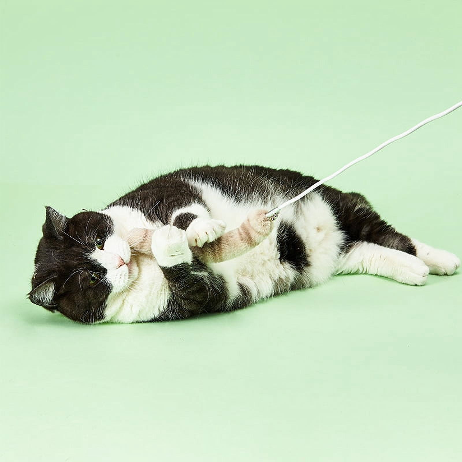 Instachew Cat Bingo Stick Toy, White