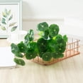 thumbnail image 2 of Bgsha Plastic Grass Fish Tank Aquarium Home Decor Accessories Artificial Water Plant, 2 of 10