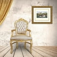 thumbnail image 3 of Audubon, John James 32x26 Gold Ornate Wood Framed with Double Matting Museum Art Print Titled - American Pied-Bill Dobchick (decorative border), 3 of 4