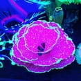 thumbnail image 4 of UDIYO Aquarium Artificial Coral Plants Ornaments Fish Tank Landscaping Decoration, 4 of 7