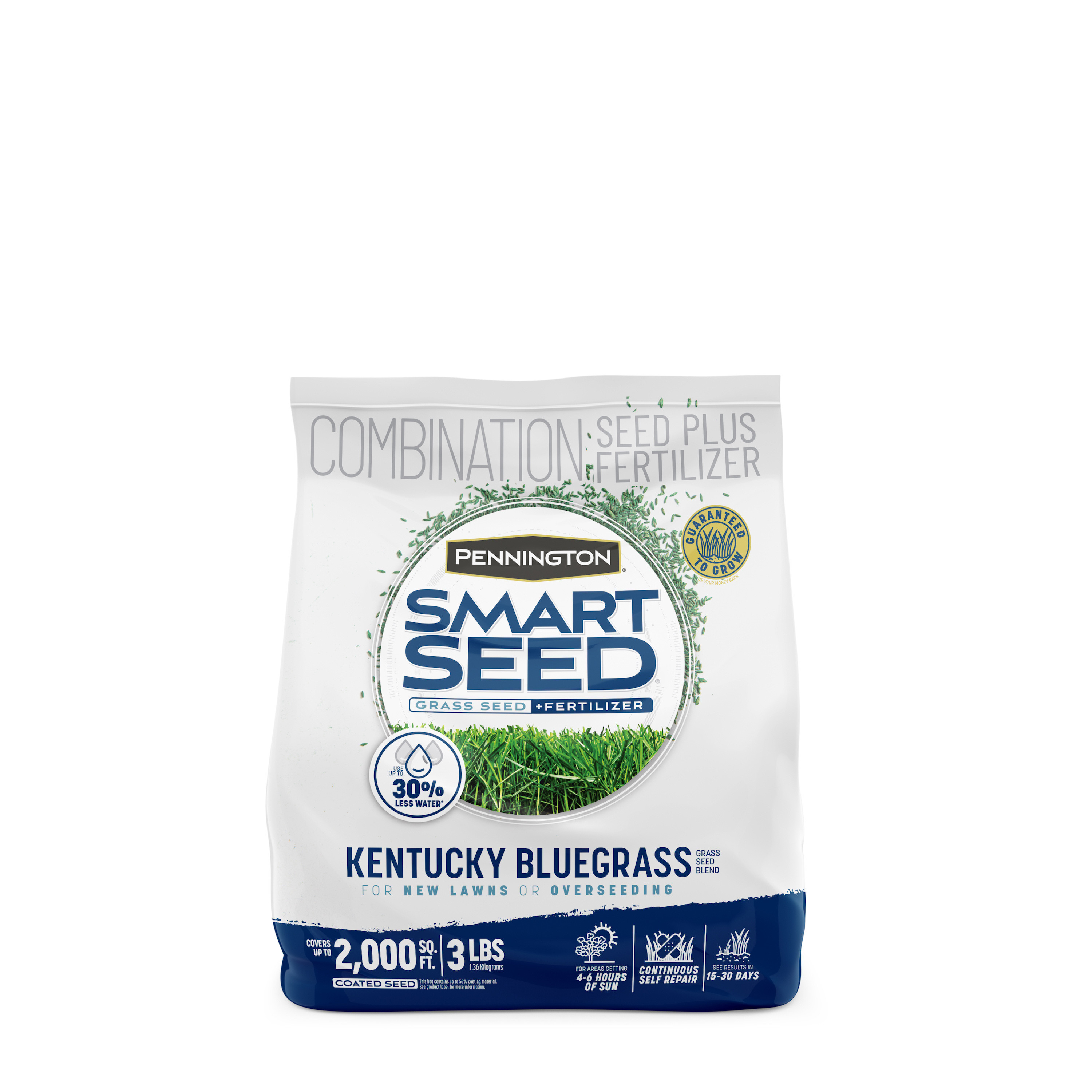 Pennington Smart Seed Kentucky Bluegrass Grass Seed Mix, for Sun to Partial Shade, 3 lb