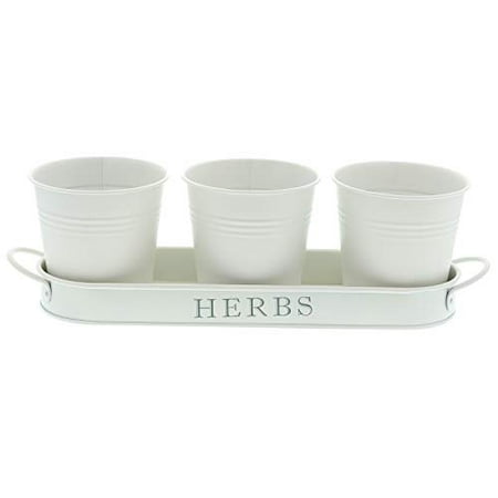 Barnyard Designs Succulent Herb Pot Planter with Tray for Indoor and Outdoor Use French Cottage White Metal Herb Plant Holder (Set of