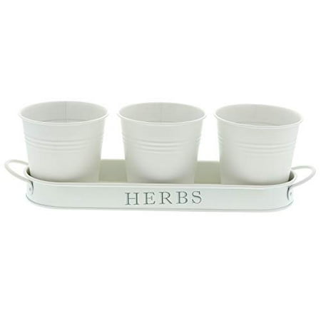 Barnyard Designs Succulent Herb Pot Planter with Tray for Indoor and Outdoor Use French Cottage White Metal Herb Plant Holder (Set of