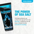 thumbnail image 6 of H2Ocean Ocean Care Unscented Tattoo Aftercare Body Lotion Dye Free Sea Salt Tattoo Lotion 2.5oz, 6 of 8