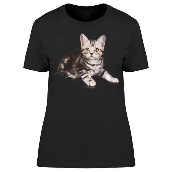 Sitting American Shorthair Cat T-Shirt Women -Image by Shutterstock, Female Large