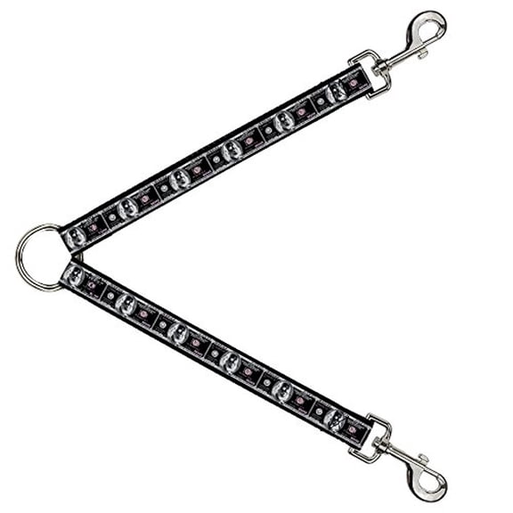 Buckle-Down Leash Splitter - 100 Dollar Bill X-Ray Black White - 1" Wide - 30" Length