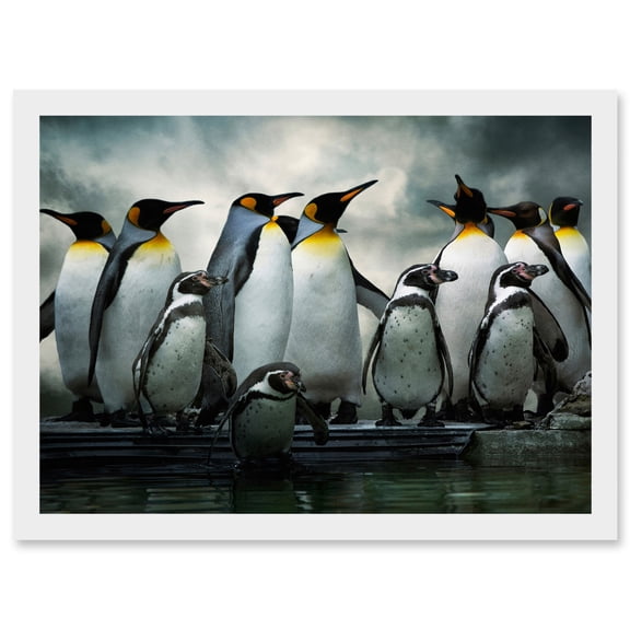 Emperor Penguin Birds Antarctic A4 Artwork Framed Wall Art Print