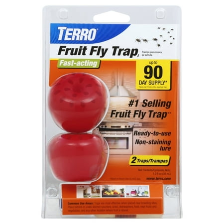 Terro T2502 Fruit Fly Trap, 2-Pack (Best Way To Catch Fruit Flies)