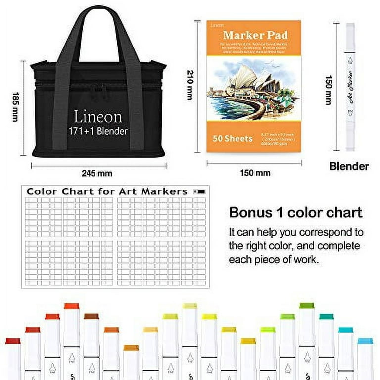 Dual Tip Alcohol Based Art Markers, Lineon 30 Colors Alcohol Marker Pens  Perfect for Kids Adult Coloring Books Sketching and Card Making 