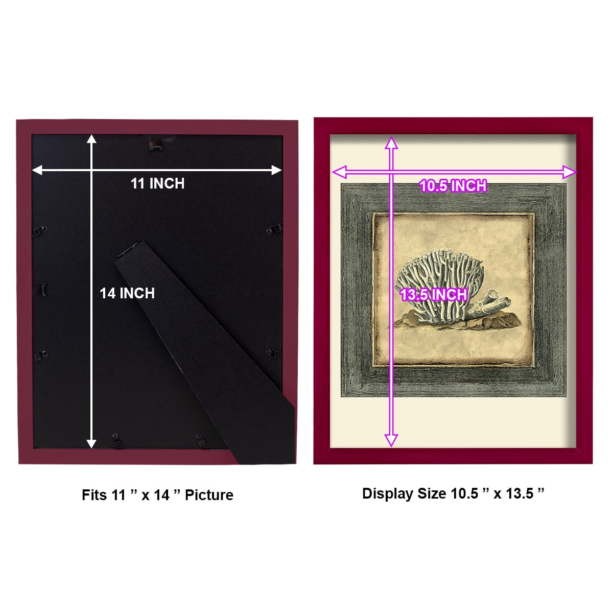 Mini Exotic Coral IX (U) - Framed Print w/glass - Cherry Red